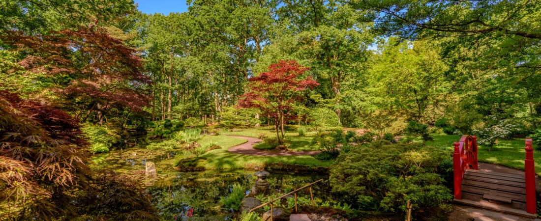 Top 15 Home Garden Design Ideas (With Must-Have Products You Can Buy Today)