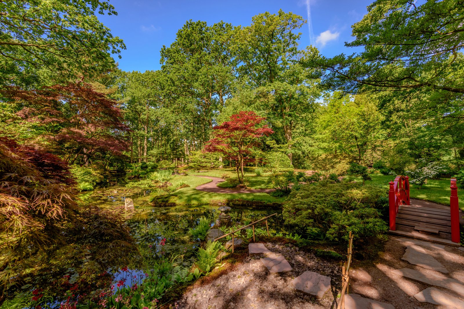 Top 15 Home Garden Design Ideas (With Must-Have Products You Can Buy Today)